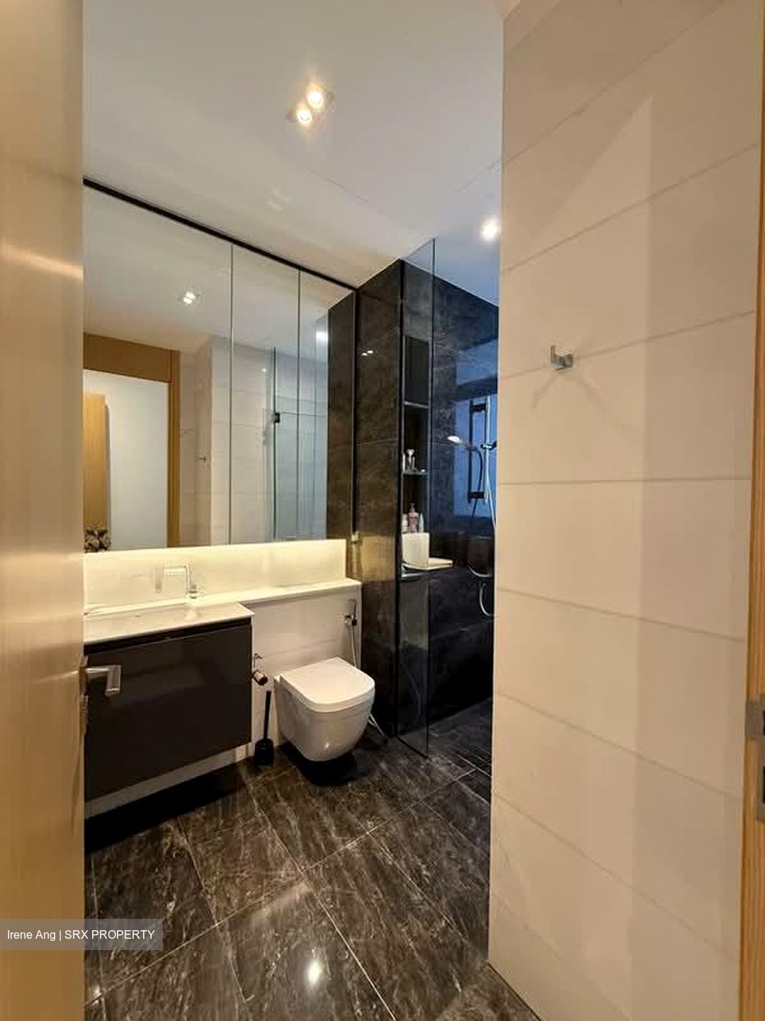 Cairnhill 16 (D9), Apartment #533696121